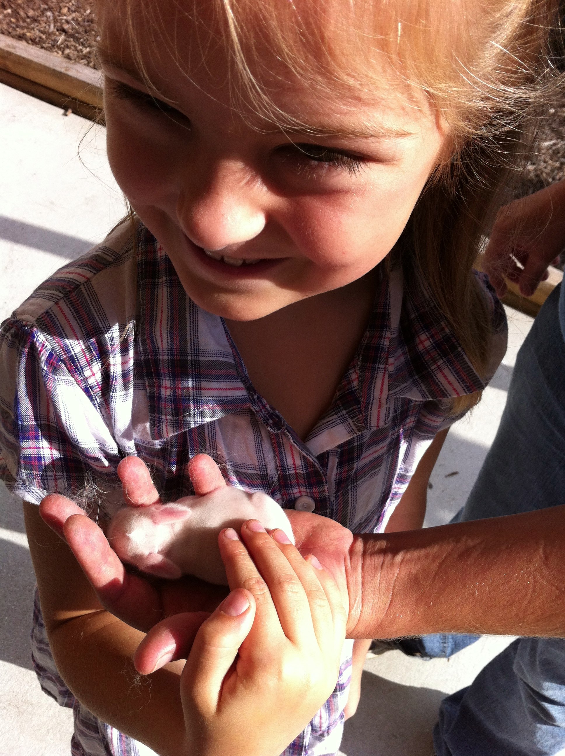 My niece with the baby bunny