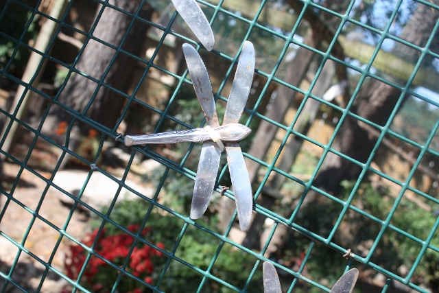 butter knife dragonfly