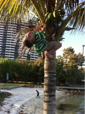 Can you believe this monkey!