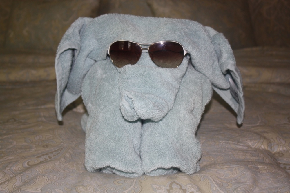 towel elephant