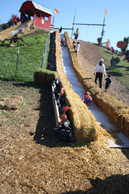 cox farms slide