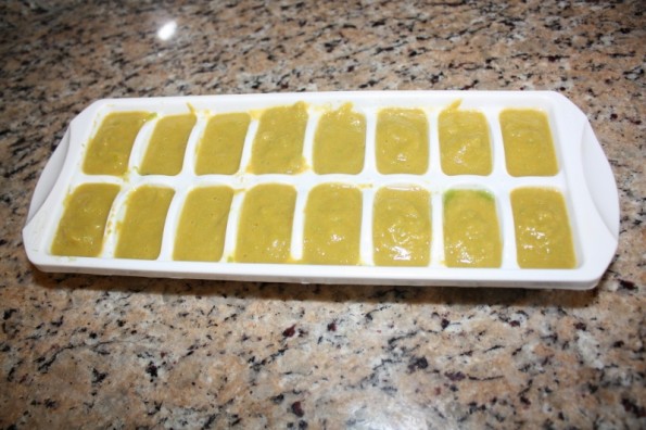 Baby Food in ice tray