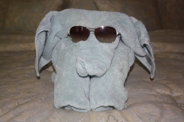 towel elephant