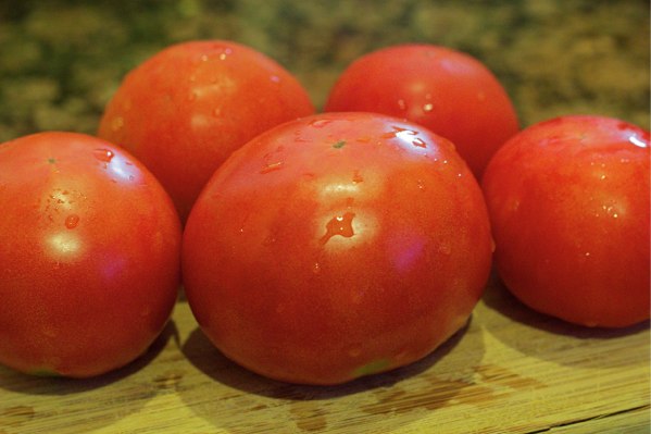 Fresh tomatoes from the garden!  They grow in the winter in Florida!