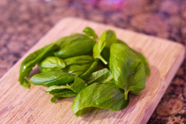Fresh basil from my garden! Yippee for living in Florida!